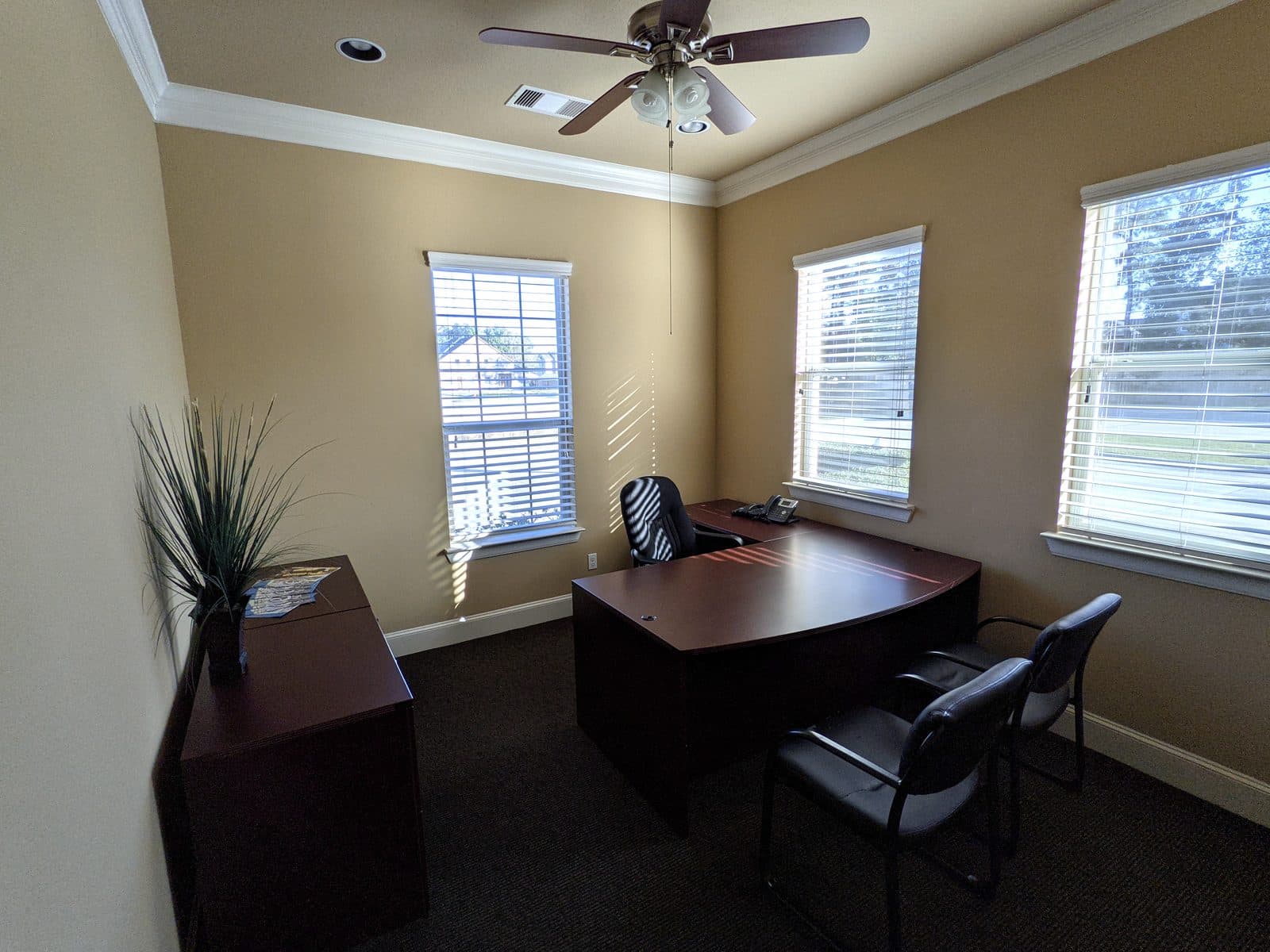 Private office with three blinded windows, an L-shaped mahogany desk, a black mesh task chair, two guest chairs, a low credenza with a potted grass plant, a ceiling fan and dark grey carpet.